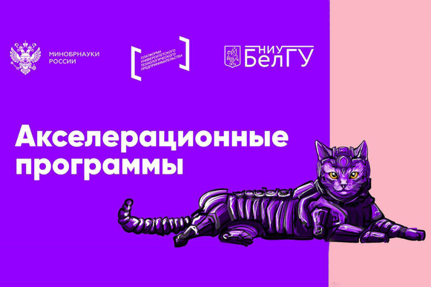 События НИУ «БелГУ» ниу «белгу» получил грант на реализацию двух акселерационных программ