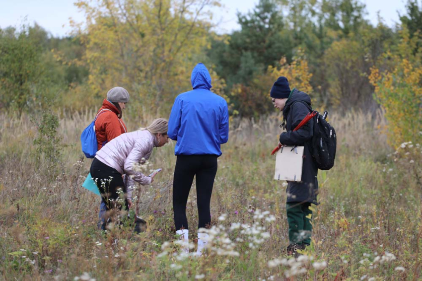 События НИУ «БелГУ» учёные ниу «белгу» завершили исследования белгородских болот моховое и разуменские ряски
