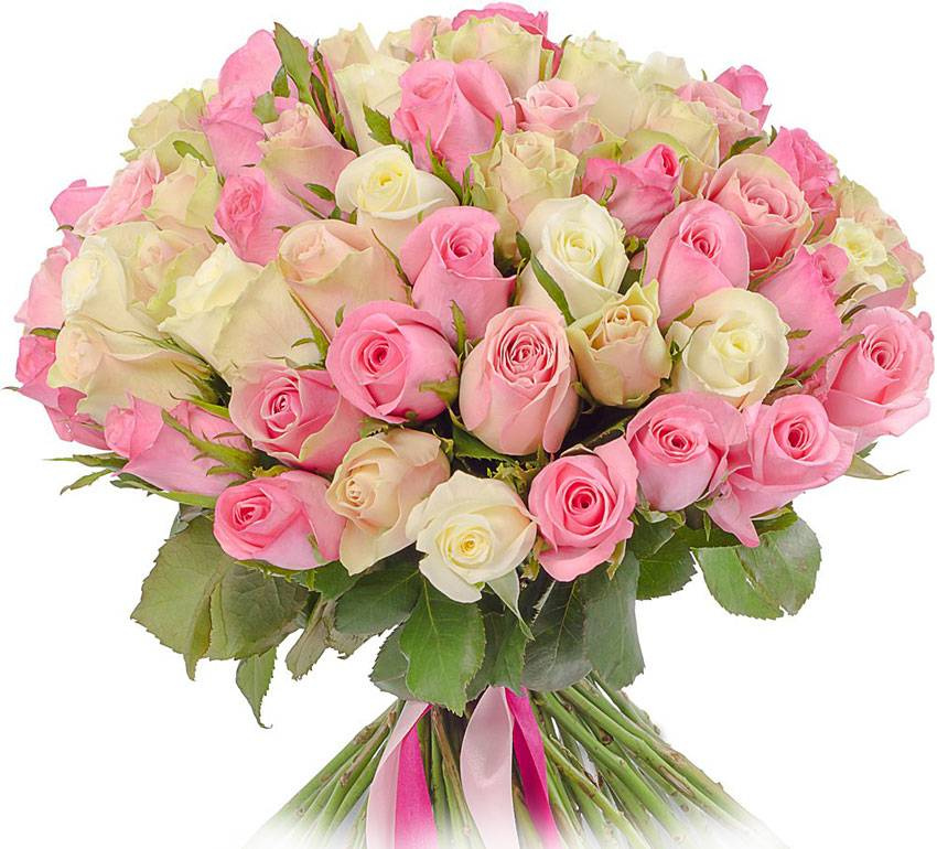 Поздравления НИУ «БелГУ» Коллектив НИУ «БелГУ» поздравляет с юбилеем Людмилу Николаевну Волошину