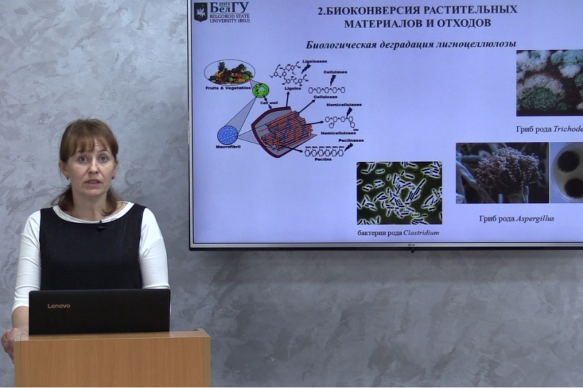 События НИУ «БелГУ» биотехнологии для сохранения природы и развития сельского хозяйства