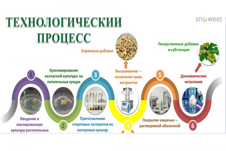 События НИУ «БелГУ» в ниу «белгу» состоялся финал конкурса «biotechparma-2020»