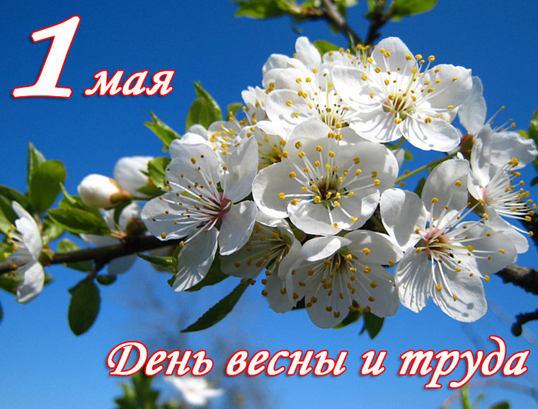 С праздником Весны и Труда!
