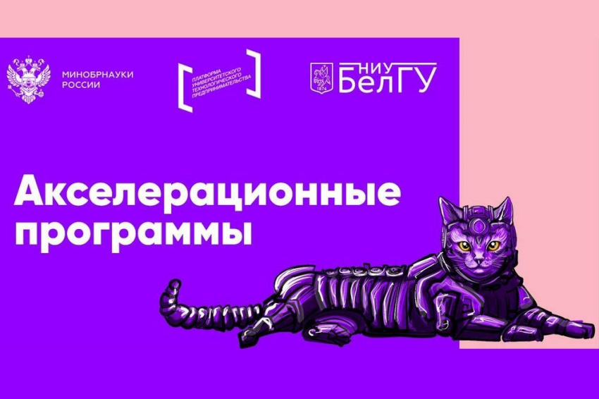 Участники акселераторов НИУ «БелГУ» представили проекты на питч-сессии События НИУ «БелГУ» участники акселераторов ниу «белгу» представили проекты на питч-сессии