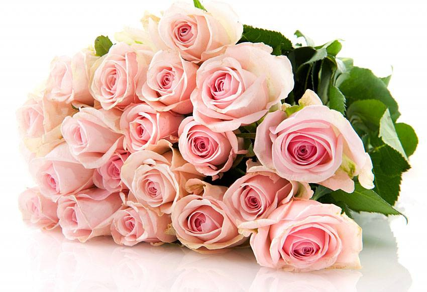 Поздравления НИУ «БелГУ» Коллектив НИУ «БелГУ» поздравляет с юбилеем Елену Ахмедовну Ермолович